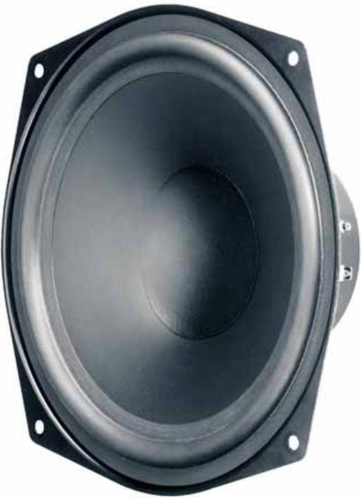 Actual product image Visaton WS 20 E woofer