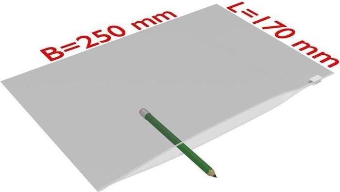 Immagine prodotto Transpak Sacchetto slip seal dimensioni 250x170mm spessore 60µ PE trasparente (1000 Pezzo/i)