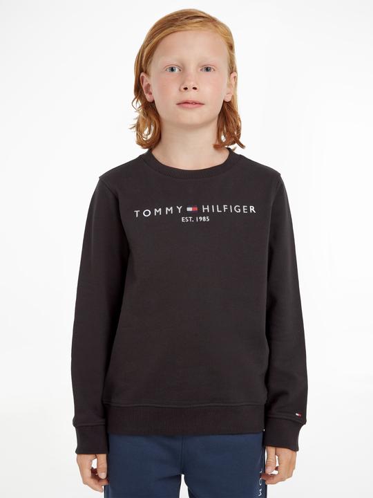 Image du produit Tommy Hilfiger Sweat Essentiel (10)