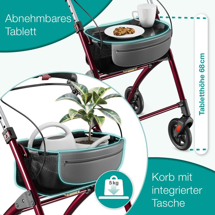 Immagine prodotto Aktivshop Premium