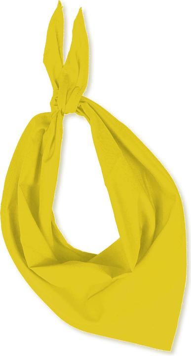 Actual product image Sporti Scarf