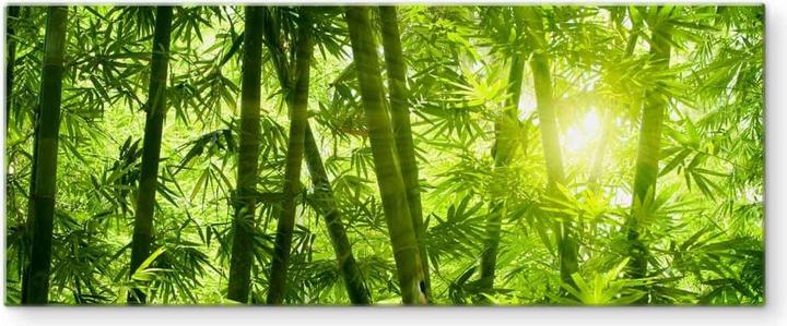 Actual product image Trenddeko Sunshine in bamboo forest - panorama (50 x 120 cm)