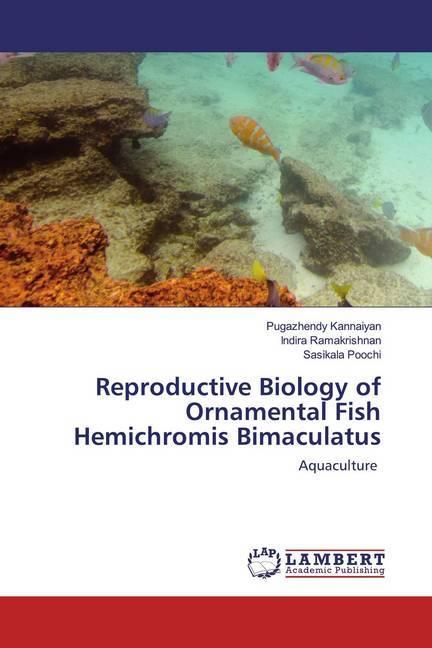Produktbild Reproductive Biology of Ornamental Fish Hemichromis Bimaculatus (Deutsch, Sasikala Poochi, Pugazhendy Kannaiyan, Indira Ramakrishnan, 2020)