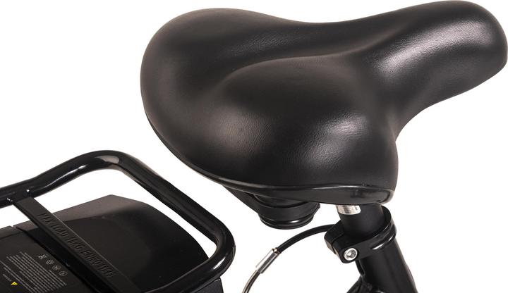 Immagine prodotto Hollandia E-city bike da donna E-Active 28" e-bike 6 marce (50 cm)