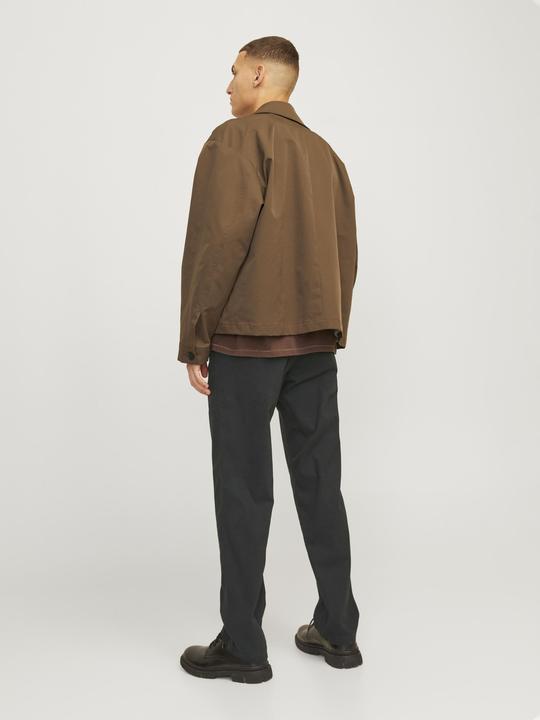 Actual product image Jack & Jones Kane Dave AKM Chino (W29/L32)