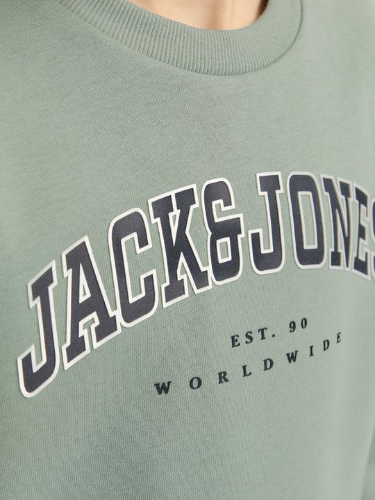 Immagine prodotto Jack & Jones Jjecaleb Varsity Sweat Crew Neck Sn Jnr (176)