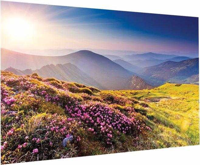 Actual product image Projecta FullVision HDTV Format - Screen - suitable for wall mounting - 574 cm (226") (226", 16:9)