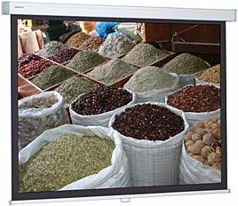 Canvas Pro Screen CSR 183x240 cm Rollomechanics - Manual - 2.3 m - 173 cm - 4: (68.11")