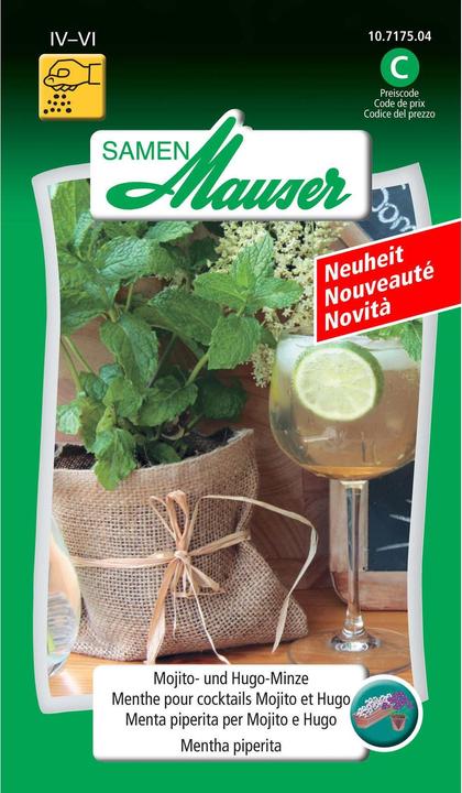 Immagine prodotto Samen Mauser Mojito e Hugo Mint (Semi di erbe)