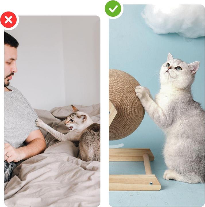 Immagine prodotto Hermex Palla da graffiare per gatti Giocattolo da graffiare Palla da graffiare Giocattolo per gatti (Giocattolo tiragraffi per gatti)