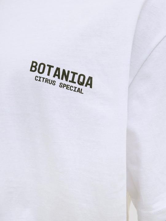 Produktbild Jack & Jones Jorbotaniq Tee Ss Crew Neck Tg Ln (XL)