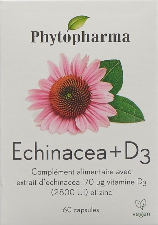 Actual product image Phytopharma Echinacea + Vitamin D3 Kapsel (60 Piece, Capsules, 63 g)