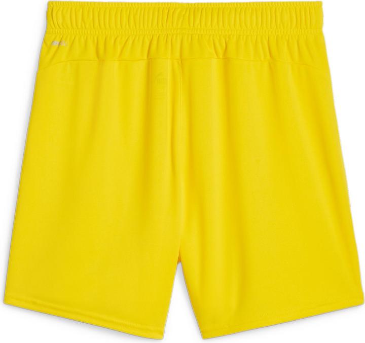 Puma teamGOAL Shorts Wmns