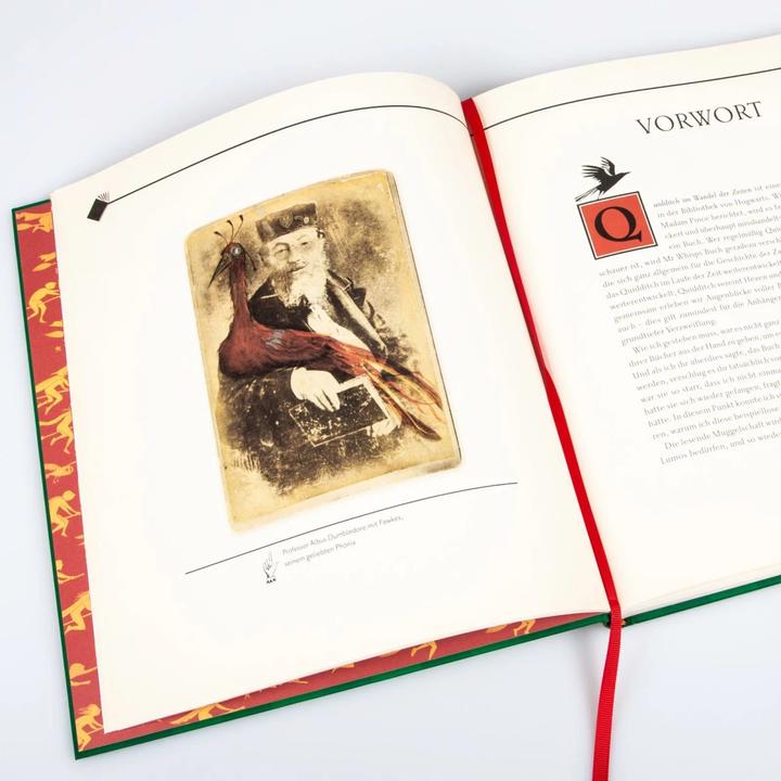 Image du produit Quidditch im Wandel der Zeiten (farbig illustrierte Schmuckausgabe) (Allemand, J.K. Rowling, Emily Gravett, 2020)