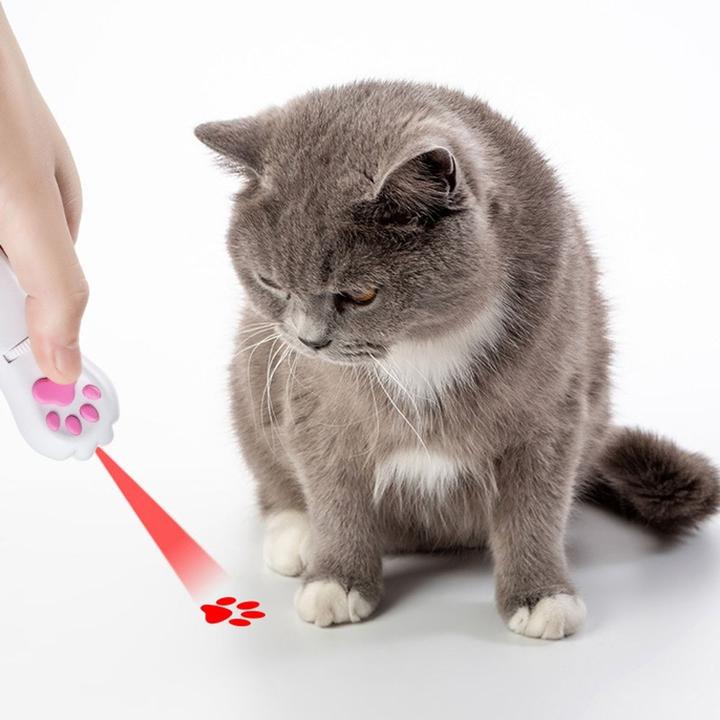 Actual product image 5 in 1 laser pointer LED torch presentation cat toy laser light