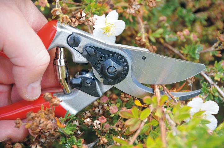 Immagine prodotto Felco 9