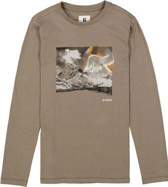 2917 rhino