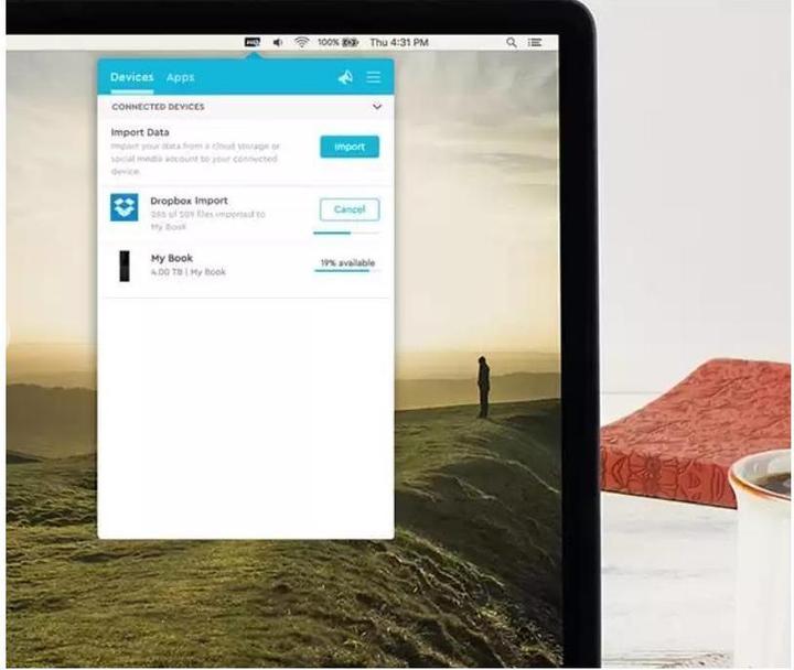 Actual product image WD My Book (12 TB)