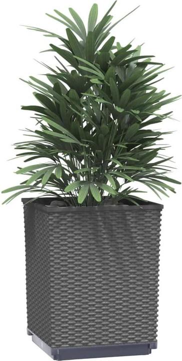 Produktbild VidaXL Thorben