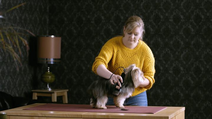 Image du produit Moser Tondeuse à poils d'animaux (Chien, Chat)