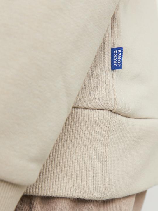 Actual product image Jack & Jones Boys Sweatshirt (164)