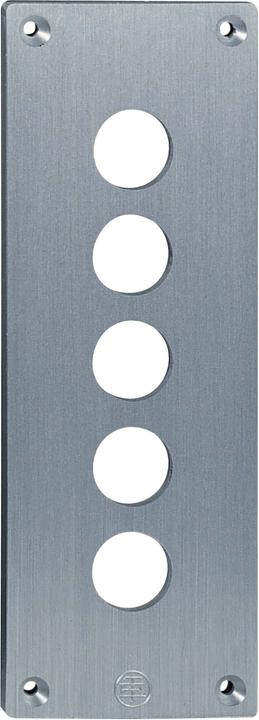 Image du produit Schneider Electric Pushbutton Flush Plate 22mm Xap +Options