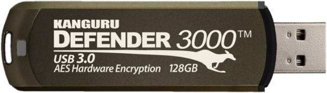 Immagine prodotto Kanguru Defender 3000 - 128 GB - USB Type-A - 3.2 Gen 1 (3.1 Gen 1) - Cap - 38 (128 GB, USB-A)