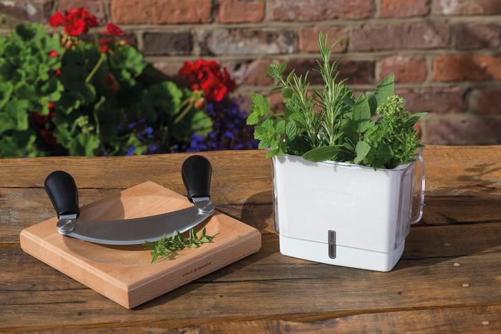 Produktbild Cole & Mason Frischhaltebox (0.38 l)
