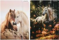 Actual product image Starpak folder with paper eraser a4 horses foil (A4)