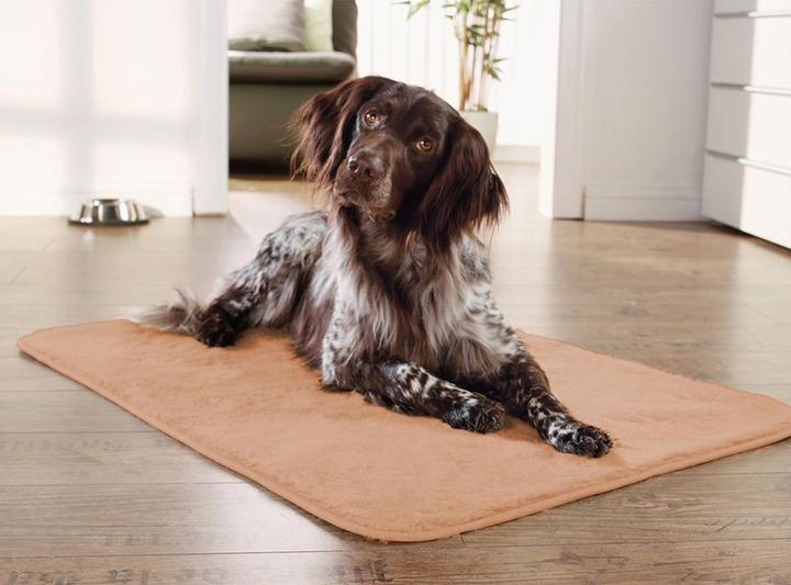 Actual product image Casativo House and pet blanket (Cat, Dog)