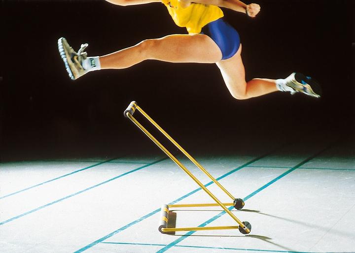 Actual product image Sypro Zacharias Hurdle Classic (3500 g)