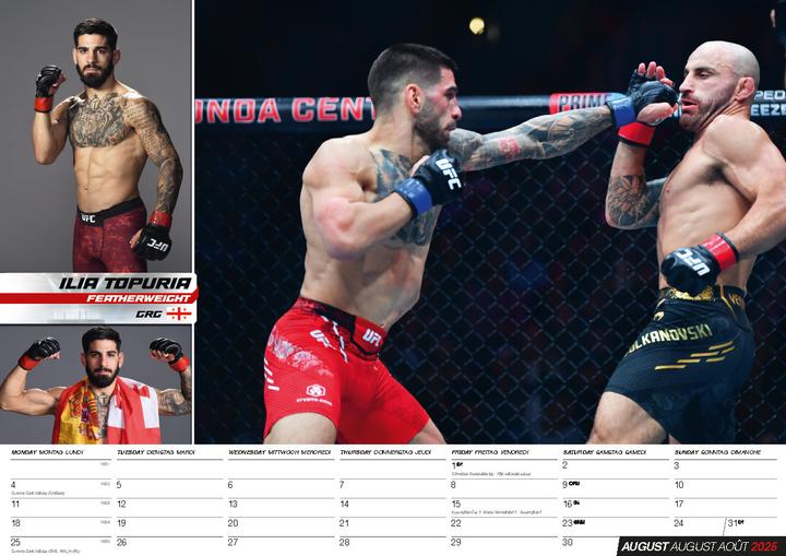 Image du produit Calendrier MMA 2025 (42 x 30 cm, Allemand)