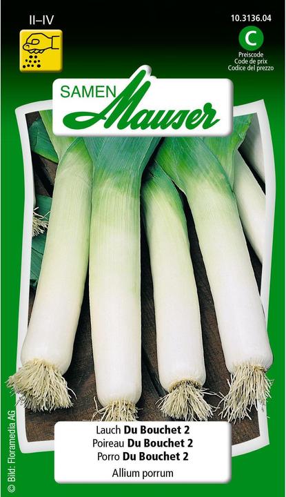 Actual product image Samen Mauser Lauch Du Bouchet 2 (Bulbous plant)
