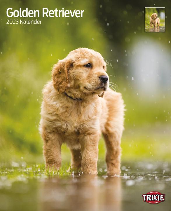 Produktbild Trixie Baby Kalender Golden Retriever