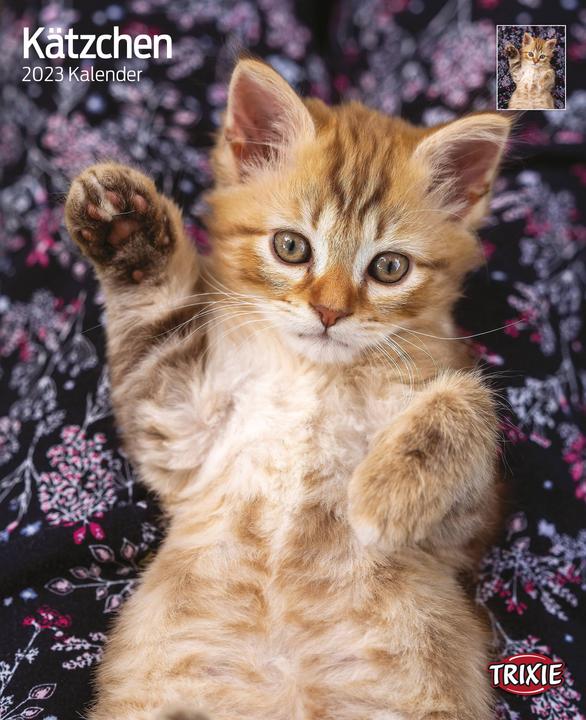 Image du produit Trixie Baby Calendrier Chaton