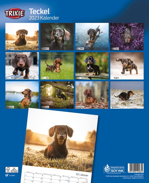 Productafbeelding Trixie Baby Kalender teckel