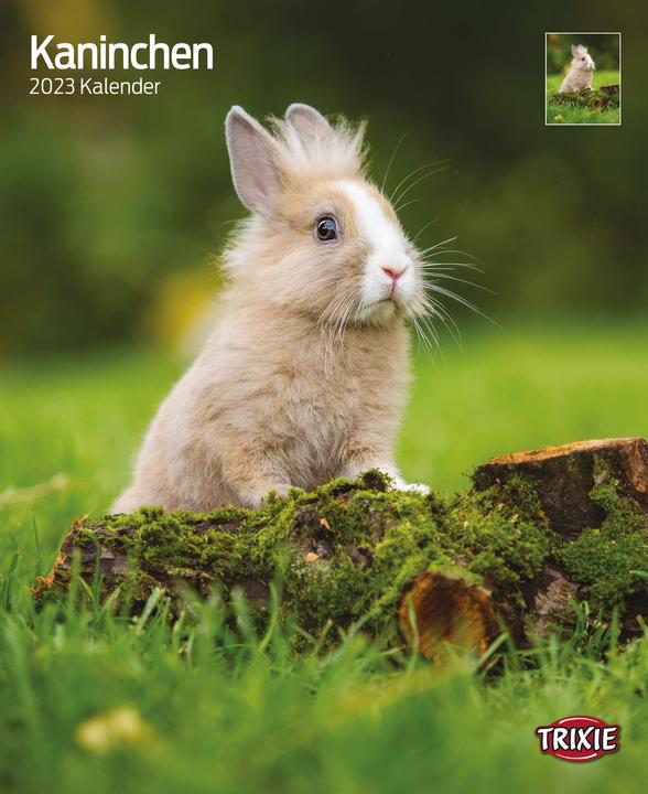 Actual product image Trixie Baby Calendar rabbits