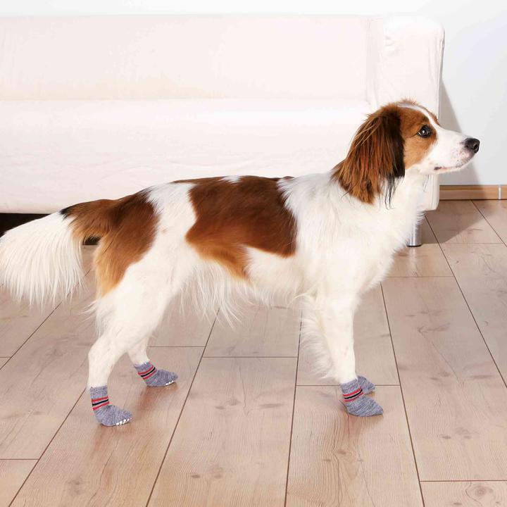 Immagine prodotto Trixie calze per cani (XL, Calzini per cani)