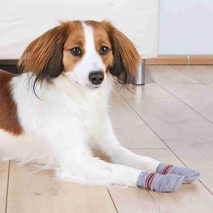 Immagine prodotto Trixie calze per cani (XL, Calzini per cani)