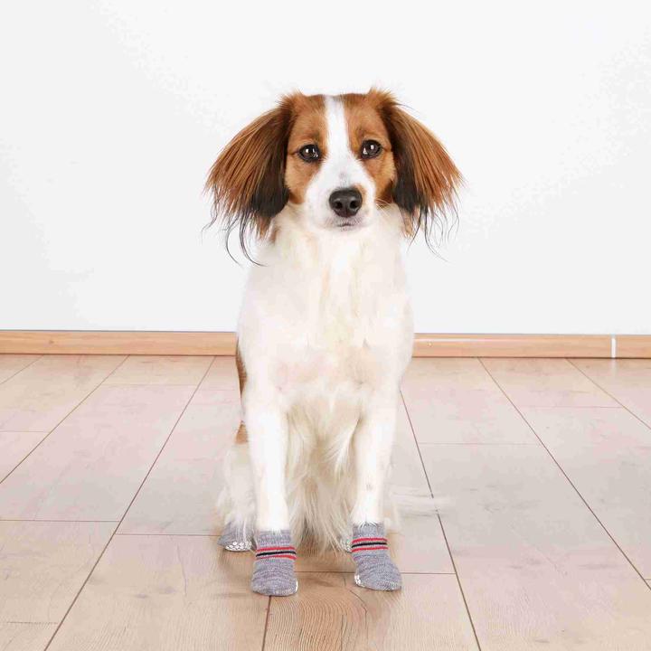 Immagine prodotto Trixie calze per cani (XL, Calzini per cani)