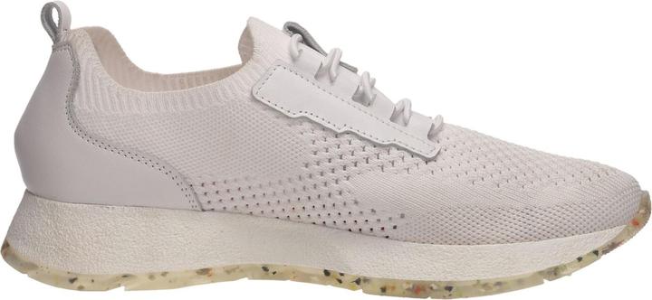Actual product image Salamander Sneaker (42)