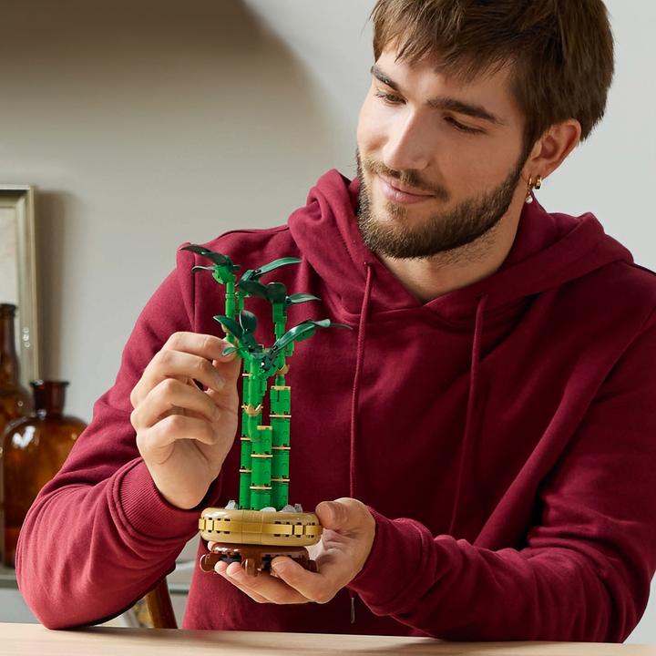 Produktbild LEGO Glücks-Bambus (10344, LEGO Icons)