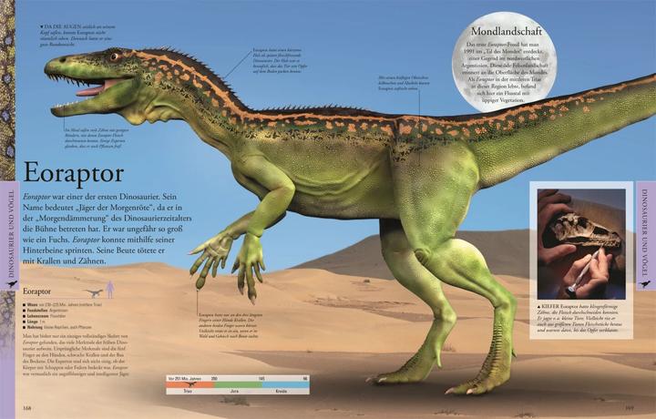 Immagine prodotto Dinosaurier und andere Tiere der Urzeit für clevere Kids (Tedesco, DK Verlag - Bambini, 2019)