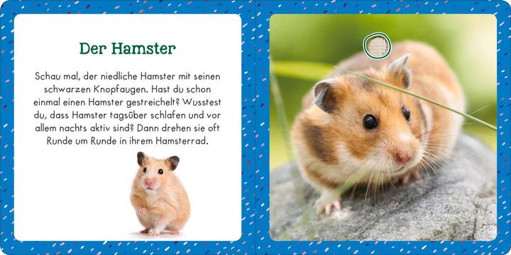 Produktbild Soundbuch für Klitzekleine – Haustiere (Deutsch)