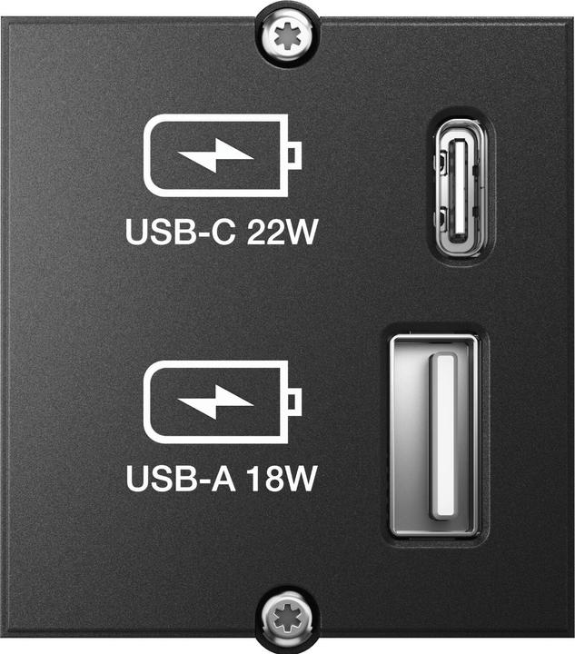 Bachmann Custom Module Charger (22 W)