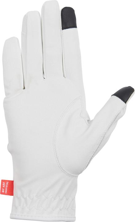 Produktbild Imperial Riding The Basics (XL)