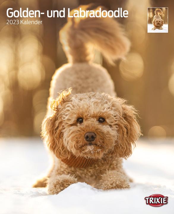 Trixie Baby Kalender Golden- und Labradoodle