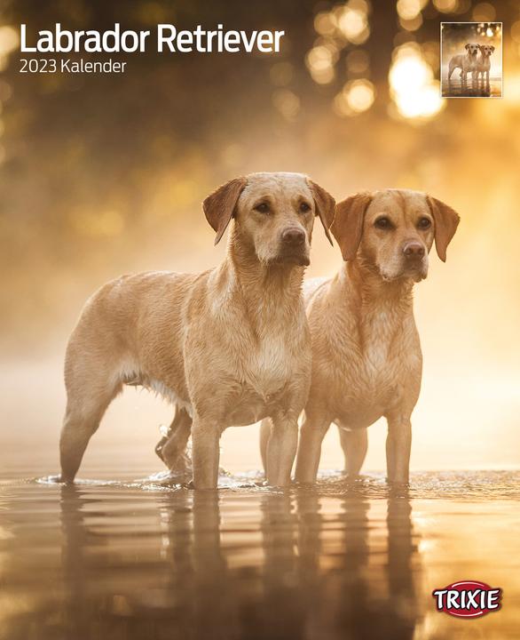 Immagine prodotto Trixie Baby Calendario Labrador Retriever