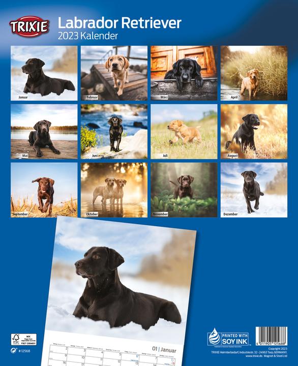 Immagine prodotto Trixie Baby Calendario Labrador Retriever