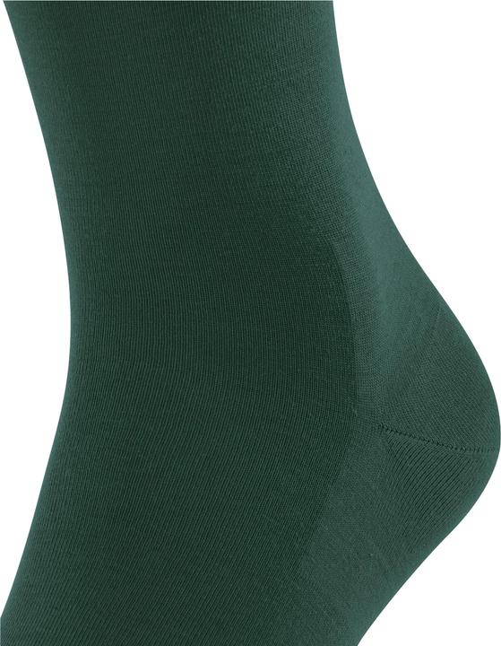 Produktbild Falke Clima Wool (Einzelpack, 47 - 48)